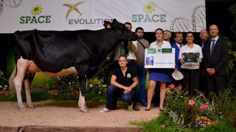 Imera (Atwood x Bolivia) une jeune promise à un grand avenir en copropriété à la SCL LB Boisvallée-Nolh Holstein - Ferme la Waebera (suisse) - Villeuneuve Richard (Canada) et la ferme Blondin (Canada)
