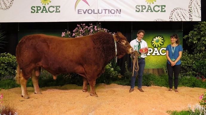 Hargneux est le champion catégorie mâle du concours Limousin