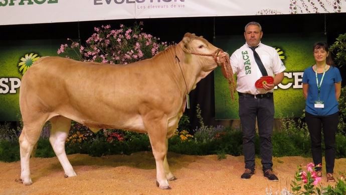 Juliette remporte le titre chez les femelles âgées de 2 à 3 ans.