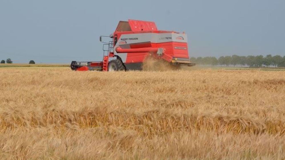 Après une moisson 2016 désastreuse, les coopératives volent au secours de leurs adhérents. (©Terre-net Média)