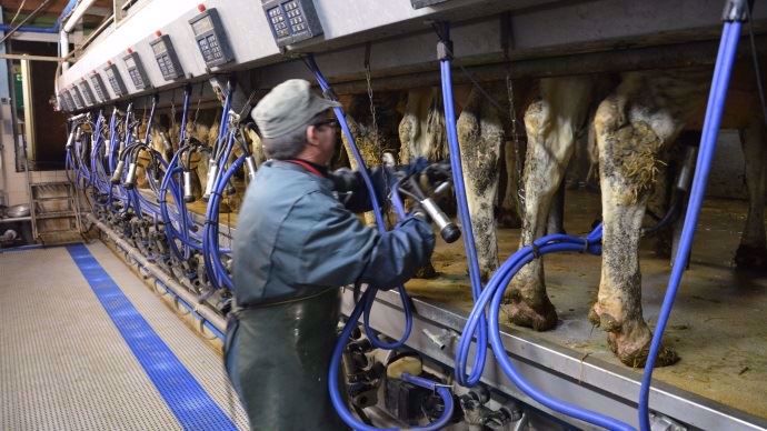 Près de 13 000 producteurs ont sollicité une aide à la réduction de la production laitière lors de la première phase de dépôt des dossiers.