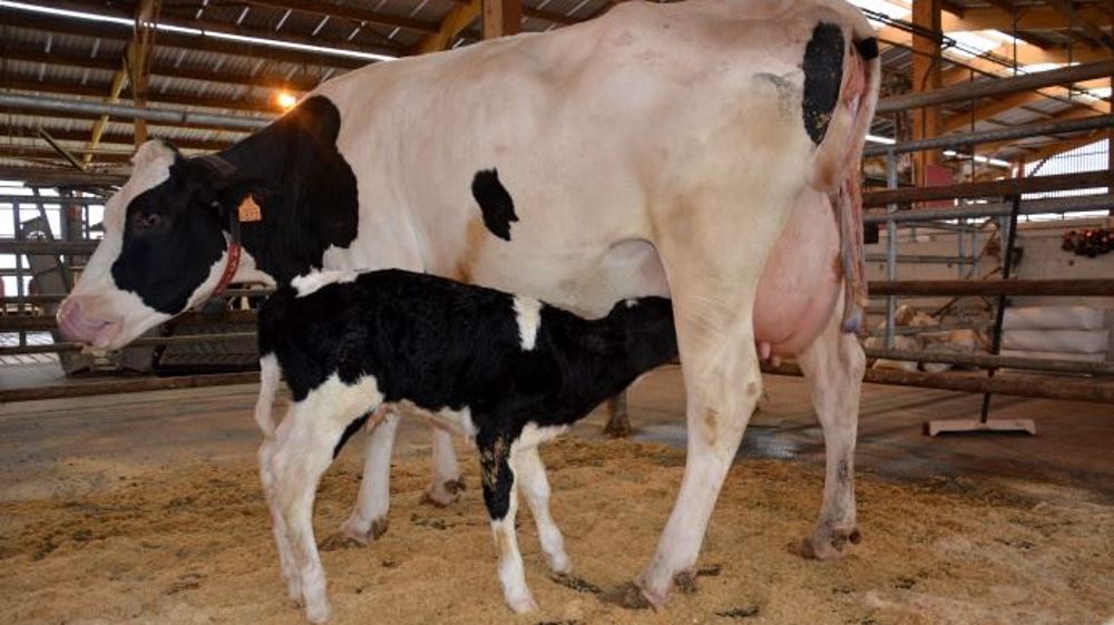 Cliquer pour voir tous <a target="_self" href="https://www.web-agri.fr/tarissement/t718">les articles et conseils sur le tarissement</a>. (©Terre-net Média)