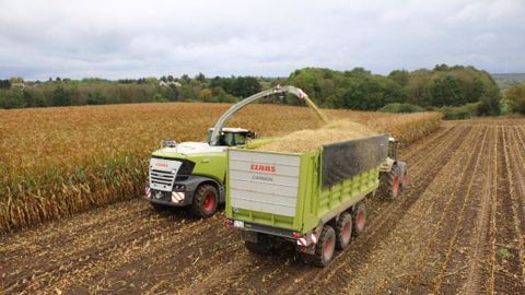 [Essai] Le Gaec du vallon teste le Shredlage de Claas