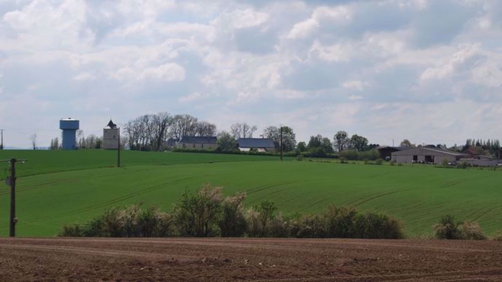 Les conditions climatiques restent sèches en France, continuant de perturber la levée des colzas. (©Terre-net Média)