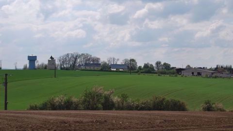 Les conditions climatiques restent sèches en France, continuant de perturber la levée des colzas. (©Terre-net Média)