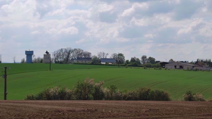 Les conditions climatiques restent sèches en France, continuant de perturber la levée des colzas.
