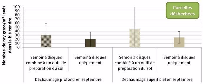 Figure 3 : Nombre de ray-grass par m² levé dans le blé tendre en fonction du type de faux-semis et de semis