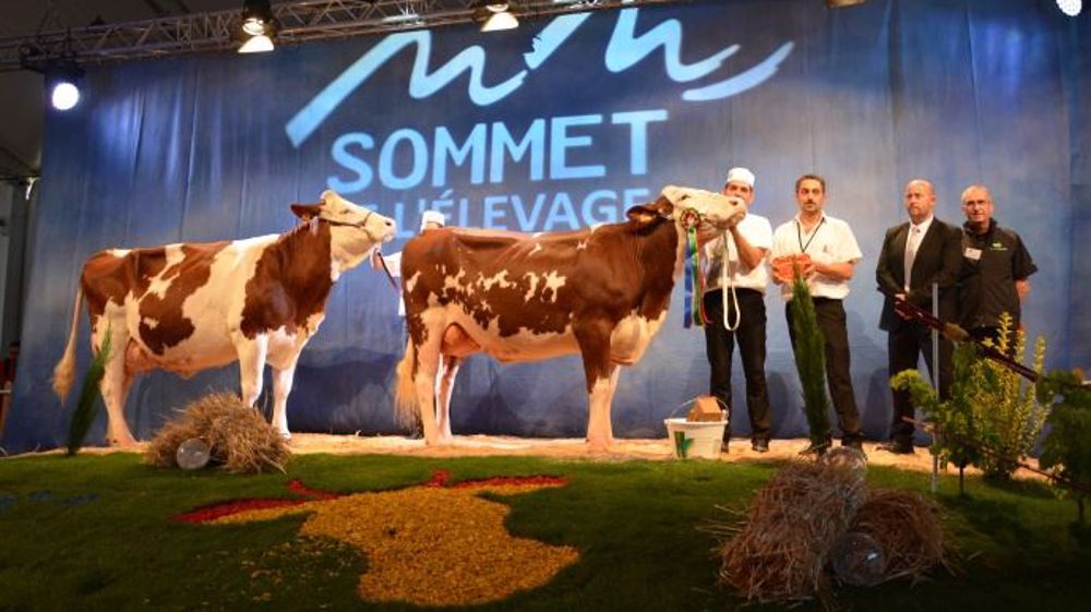 Istanoise (Brink), au Gaec Castanet de la Haute-Loire (43) (©Terre-net Média) 