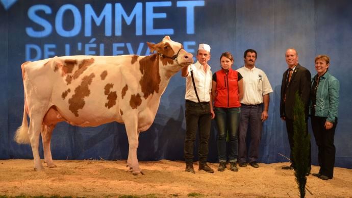 Réserve championne adulte : une rouge bien connue des podiums, Xaintrie Fière (Accolade Red x Alpage FM) à Jean-Louis Lafon du Cantal.