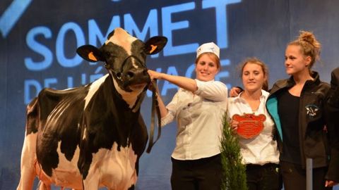 Palmarès Holstein : Hirma voit de l'avenir dans l'élevage Parisse (03)