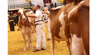 Palmarès red de la World Dairy Expo 2016 Palmarès red de la World Dairy Expo 2016