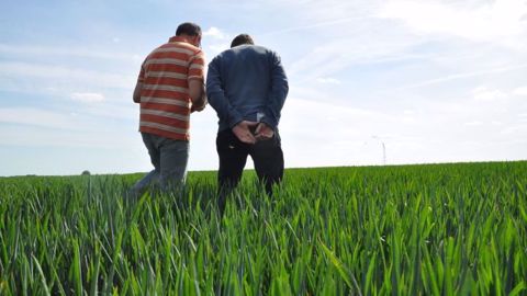 En 2016, 30 % des agriculteurs, soit 131 450 exploitants, au réel ont déclaré des revenus professionnels inférieurs à 4 248 € en 2015. (©Watier visuels) En 2016, 30 % des agriculteurs, soit 131 450 exploitants, au réel ont déclaré des revenus professionnels inférieurs à 4 248 € en 2015. (©Watier visuels)