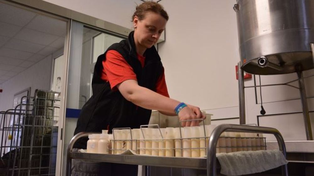 Les données du contrôle laitier couplées à l'analyse des acides gras du lait sont aujourd'hui capables de révéler de nombreuses informations sur l'état de nutrition et de santé des vaches laitières. (©Terre-net Média)