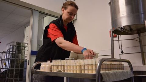 Les données du contrôle laitier couplées à l'analyse des acides gras du lait sont aujourd'hui capables de révéler de nombreuses informations sur l'état de nutrition et de santé des vaches laitières. (©Terre-net Média)