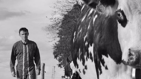 Six éleveurs récompensés pour leurs photos et vidéos