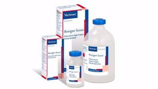 Bovigen Scour est un médicament pour bovins, demandez conseil à votre vétérinaire. (©Virbac) Bovigen Scour est un médicament pour bovins, demandez conseil à votre vétérinaire. (©Virbac)