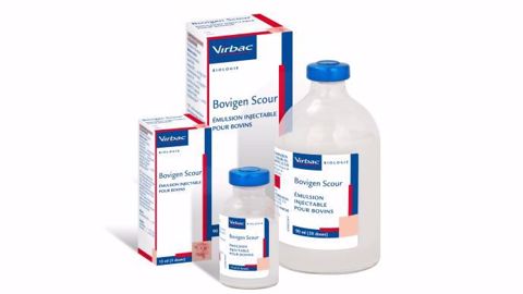  Bovigen Scour est un médicament pour bovins, demandez conseil à votre vétérinaire. (©Virbac)