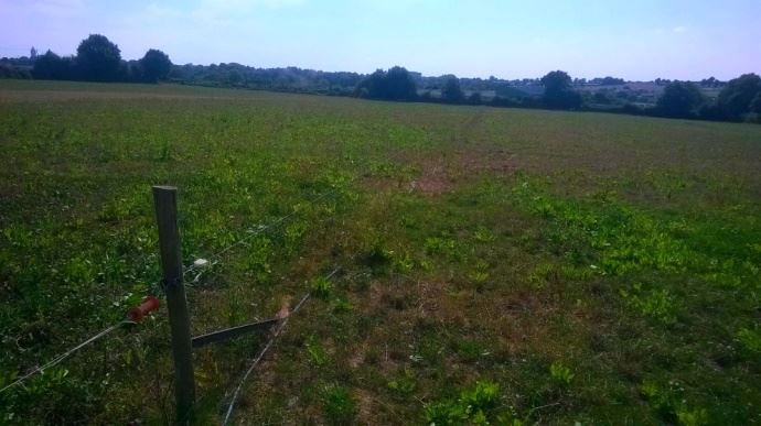 Les tuyaux d'eau sont placé sous la cloture, un couloir sur deux.