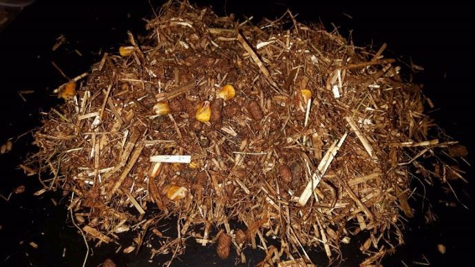 mélange fermier pour l'élevage des chevrettes