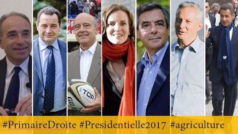 Les sept candidats à la primaire de la droite et du centre : Jean-François Copé, Jean-Frédéric Poisson, Alain Juppé, Nathalie Kosciusko-Morizet, François Fillon, Bruno Le Maire et Nicolas Sarkozy. (©Terre-net Média) 