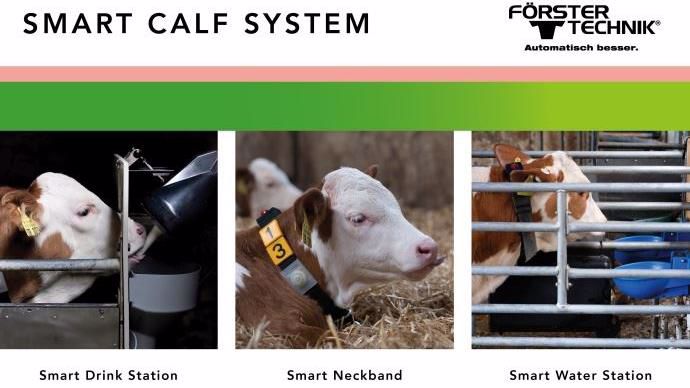 Smart Calf System - Förster-Technik, Engen, Allemagne