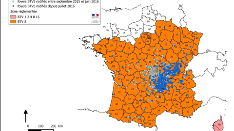 Carte de la zone réglementée FCO au 10/11/2016. (©GDS- DGAL) Carte de la zone réglementée FCO au 10/11/2016. (©GDS- DGAL)