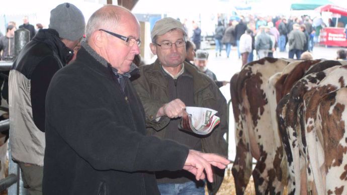 La vente de la Ste Catherine, dernier rendez-vous de l'année en Normande