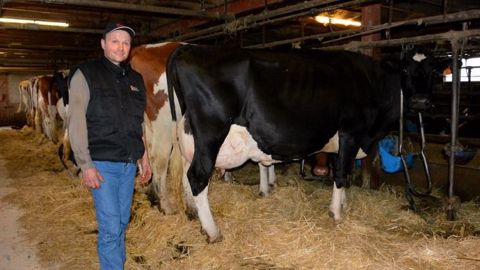 Jean-Bernard Girard avec Almacombe Ex-93. <a href="http://www.web-agri.fr/conduite-elevage/genetique-race/article/l-extraordinaire-petit-troupeau-de-jean-bernard-girard-25-1175-115169.html" target="_self">Cliquez pour voir le reportage en vidéo chez Jean-Bernard Girard, meilleur éleveur 2015 et 2016 ! </a>(©Terre-net Média)
