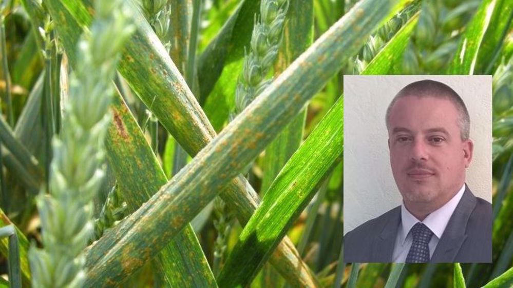 Nicolas Lemonnier déconseille de décider à la morte-saison de supprimer un traitement. (©Arysta)