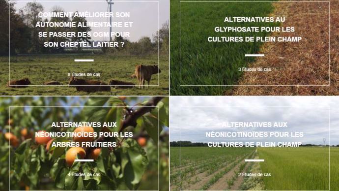 ecologie