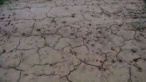 Le manque de pluie inquiète aux Etats-Unis. (©Terre-net Média)