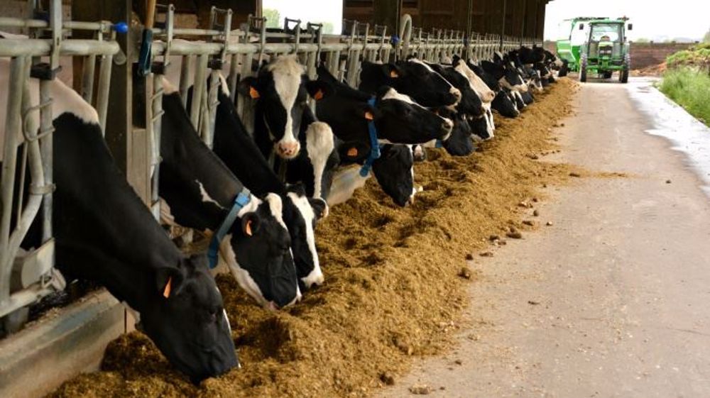 Les producteurs de lait en difficulté se verront octroyer une aide exceptionnelle<br />de 1 000 € fin 2016 ou début 2017. (©Terre-net Média)