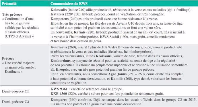 Maïs grain KWS