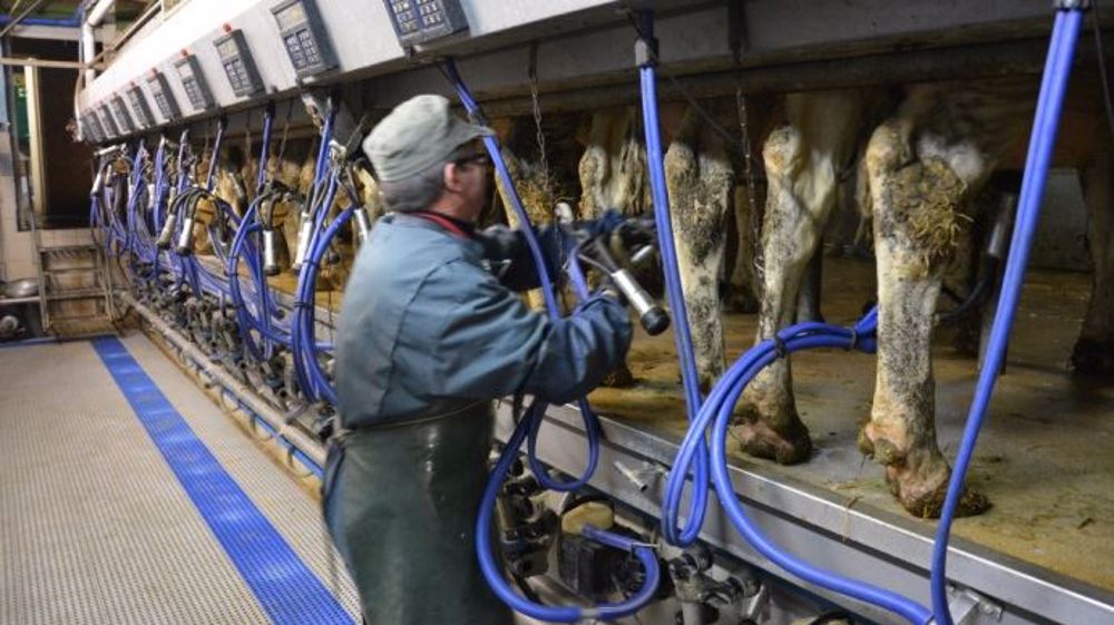  (©Terre-net Média)