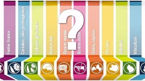 Quels revenus agricoles pour 2016 ? (©Terre-net Média)