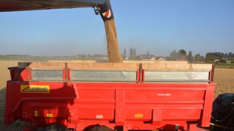 FranceAgriMer prévoit une baisse importante des stocks de blé et d'orge dans les exploitations agricoles au cours de cette campagne. (©Terre-net Média)