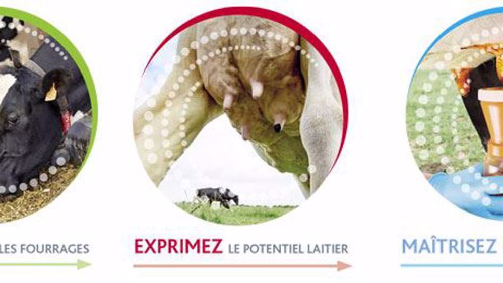 Forte de son expérience de 30 ans, la société HYPRED, basée à Dinard (35) suit le développement des exploitations en lien avec son métier historique, la qualité du lait (©HYPRED).