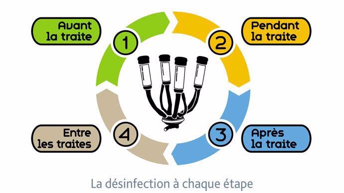 Désinfection