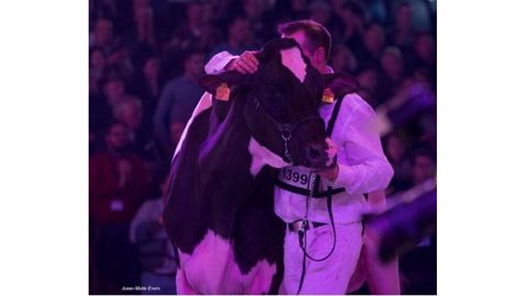 Roger Frossard et Yves Saucy remportent Swiss Expo 2017 Grâce à DH Gold Chip Darling. (©Anne-Mettes Evers / Swiss Expo)