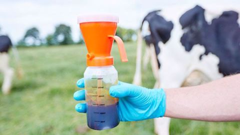 La pression microbienne présente dans un même élevage est toujours amenée à évoluer selon les périodes de l’année en fonction des conditions d’élevage et de l’environnement dans lequel le troupeau est logé. La pression microbienne présente dans un même élevage est toujours amenée à évoluer selon les périodes de l’année en fonction des conditions d’élevage et de l’environnement dans lequel le troupeau est logé.