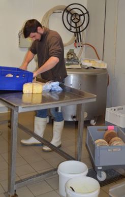 Le lait est transformé en une large gamme de produits