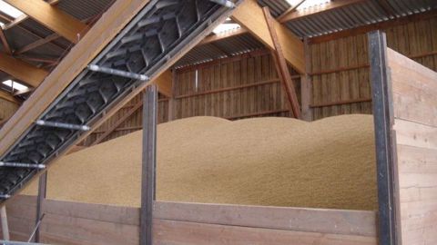   Les<strong> </strong>cours du blé ont profité d'éléments laissant attendre une offre moins élevée que prévu aux États-Unis. (©Terre-net. Média)