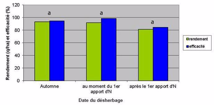 Figure 1 : Effet du positionnement des herbicides, par rapport au premier apport azoté, sur le rendement et l'efficacité sur ray-grass (3 essais)