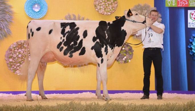 Réserve de grande championne et championne espoir : Jaime (Magnus MR) à Caudine Hallouin (41)