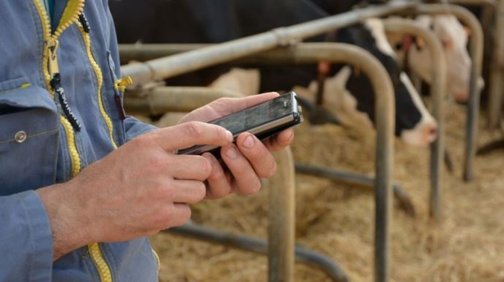 Web-agri recrute un <strong>journaliste digital</strong> spécialisé en <strong>élevage</strong>. (© Terre-net Média)