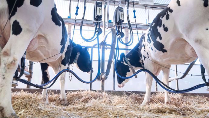 Milk24 DeLaval