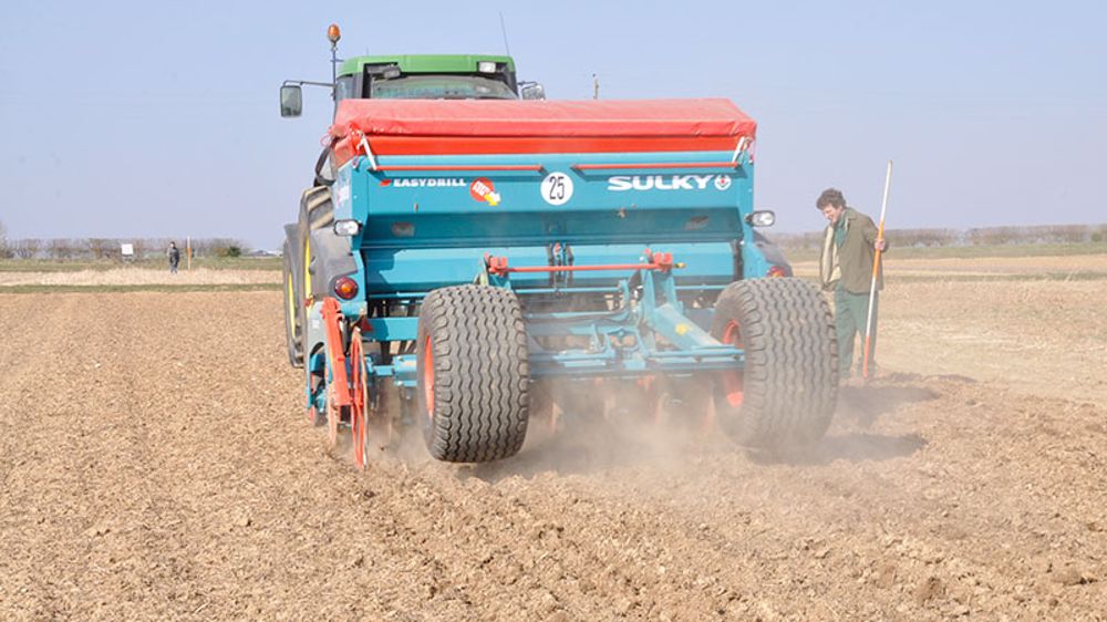 Un semis après cette période idéale risque de pénaliser la capacité de tallage de l'orge, notent les experts Arvalis.  (©Arvalis)