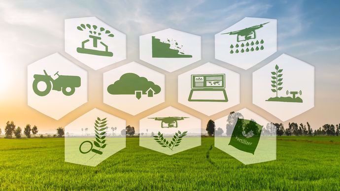 Big data et agriculture : à quoi ça sert en agriculture