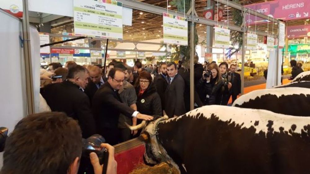 François Hollande au 54e salon de l'agriculture. Le chef de l'État déambule dans les allées et échange quelques mots avec des éleveurs. (©Terre-net Média) 