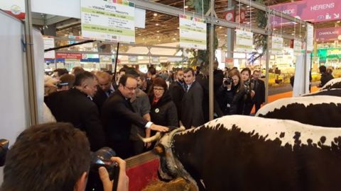 François Hollande au 54e salon de l'agriculture. Le chef de l'État déambule dans les allées et échange quelques mots avec des éleveurs. (©Terre-net Média) 